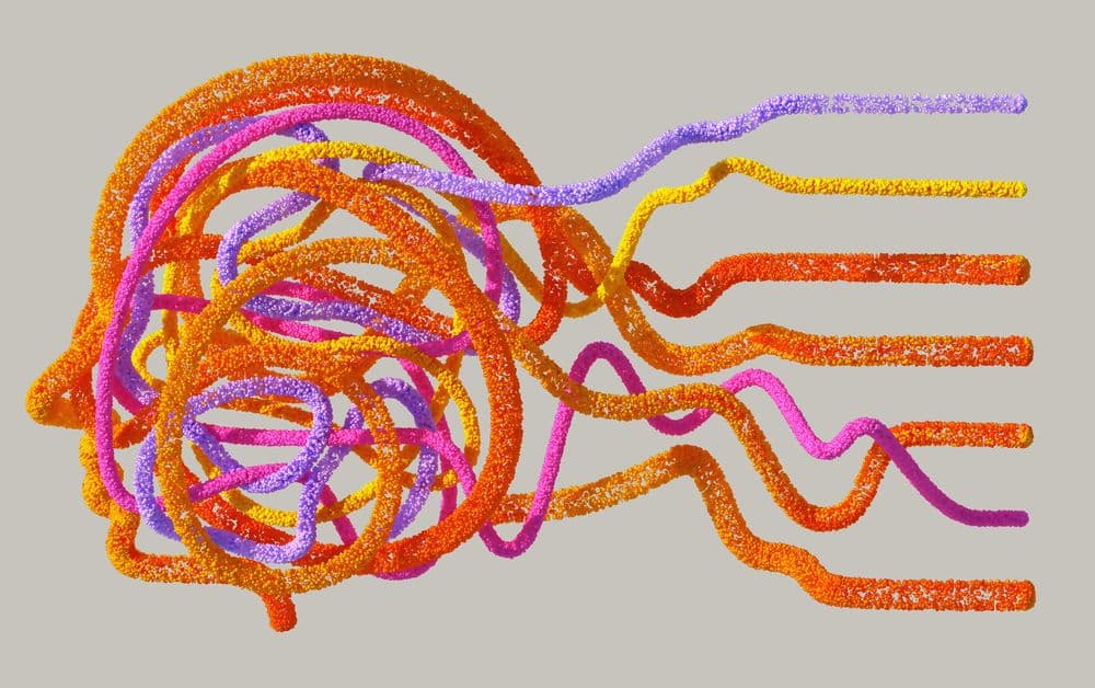 Nervous System Reset